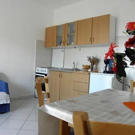 Jasko 2895 Barbat na Rabu